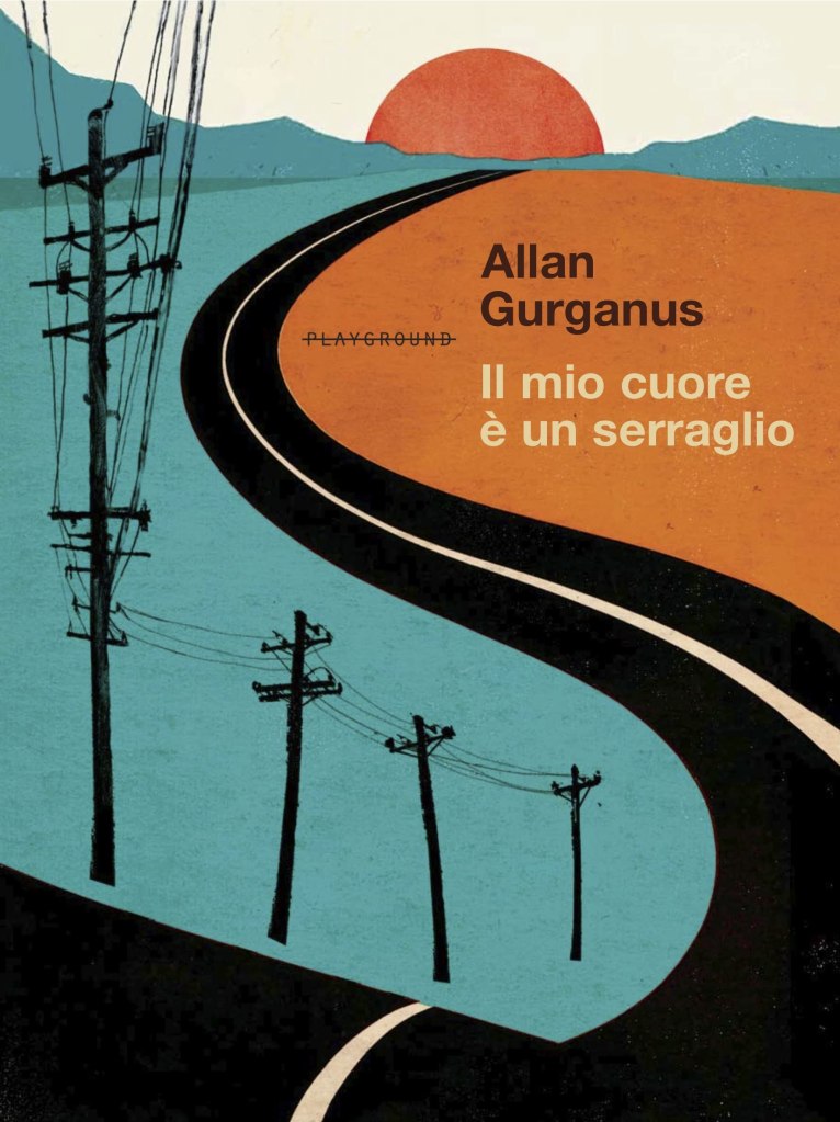 Il mio cuore è un serraglio di Allan Gurganus