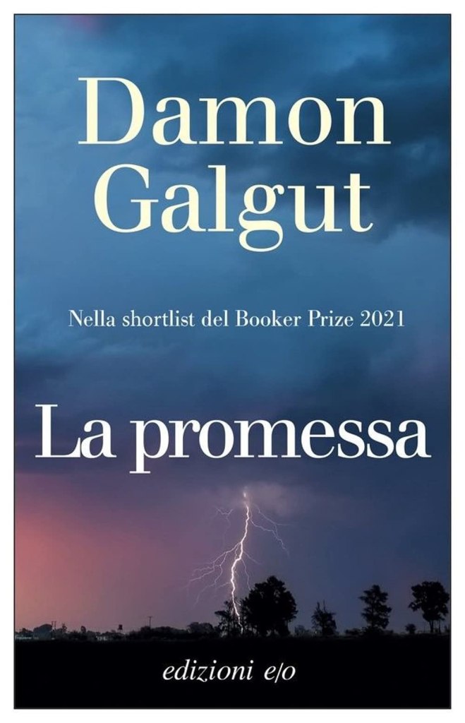La promessa di Damon Galgut