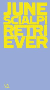 Retriever. (Possibile inquadramento teorico di un) June Scialpi