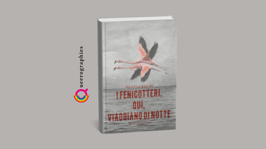 [I fenicotteri, qui, viaggiano di notte][Francesco Mastinu]