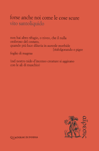 Forse anche noi come le cose scure di Vito Santoliquido