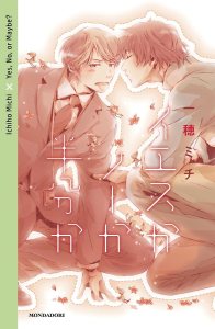 Yes, no, or maybe? di Michi Ichiho