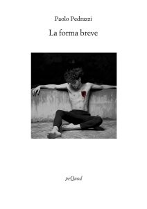 La forma breve di Paolo Pedrazzi